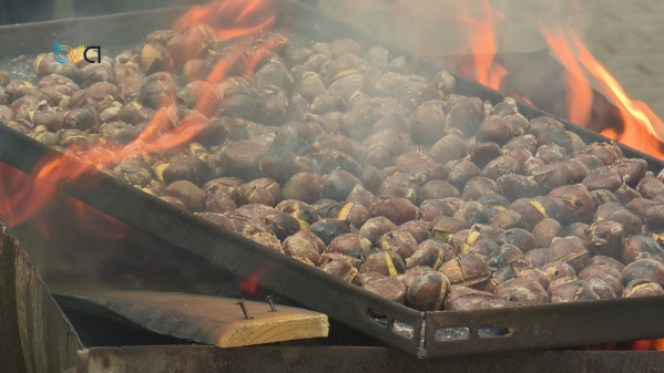 Falagueira-Venda Nova Celebra São Martinho com a População