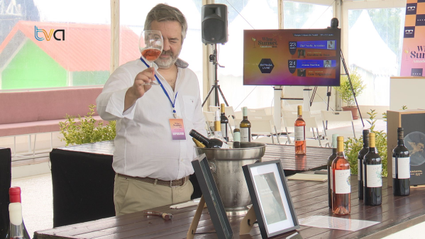 Wine Fest Cresce e Ganha Destaque nos Eventos Dedicados ao Vinho